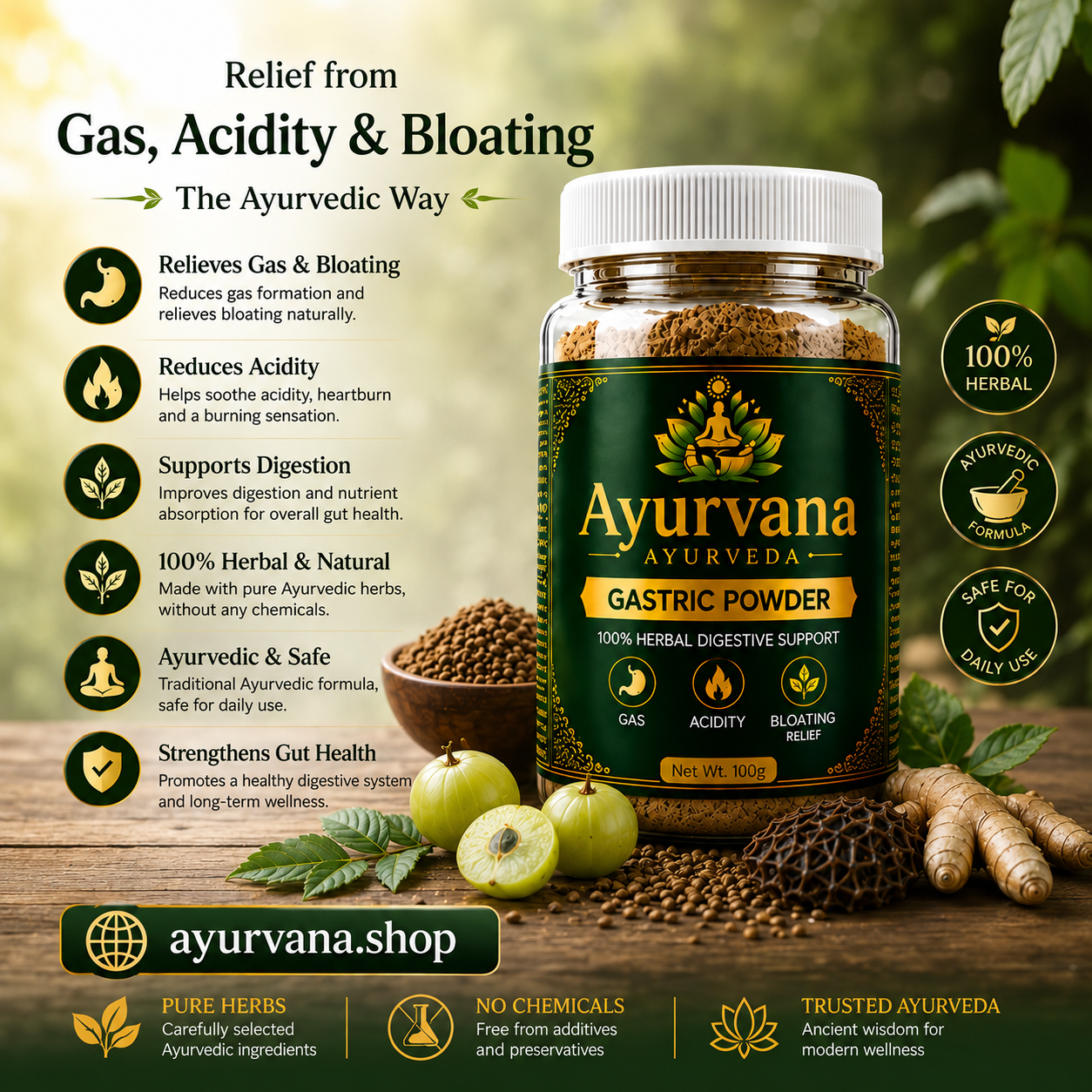 AYURVANA GASTRIC POWDER 20DAYS CHALLENGE