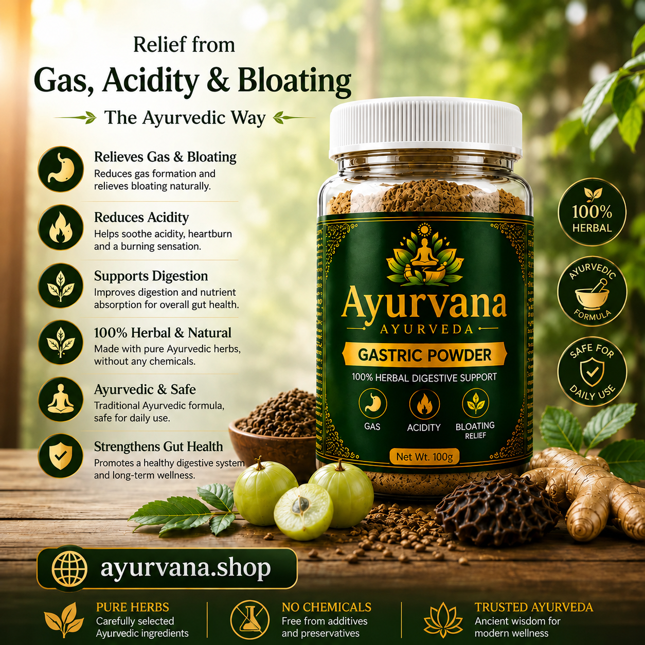 AYURVANA GASTRIC POWDER 20DAYS CHALLENGE